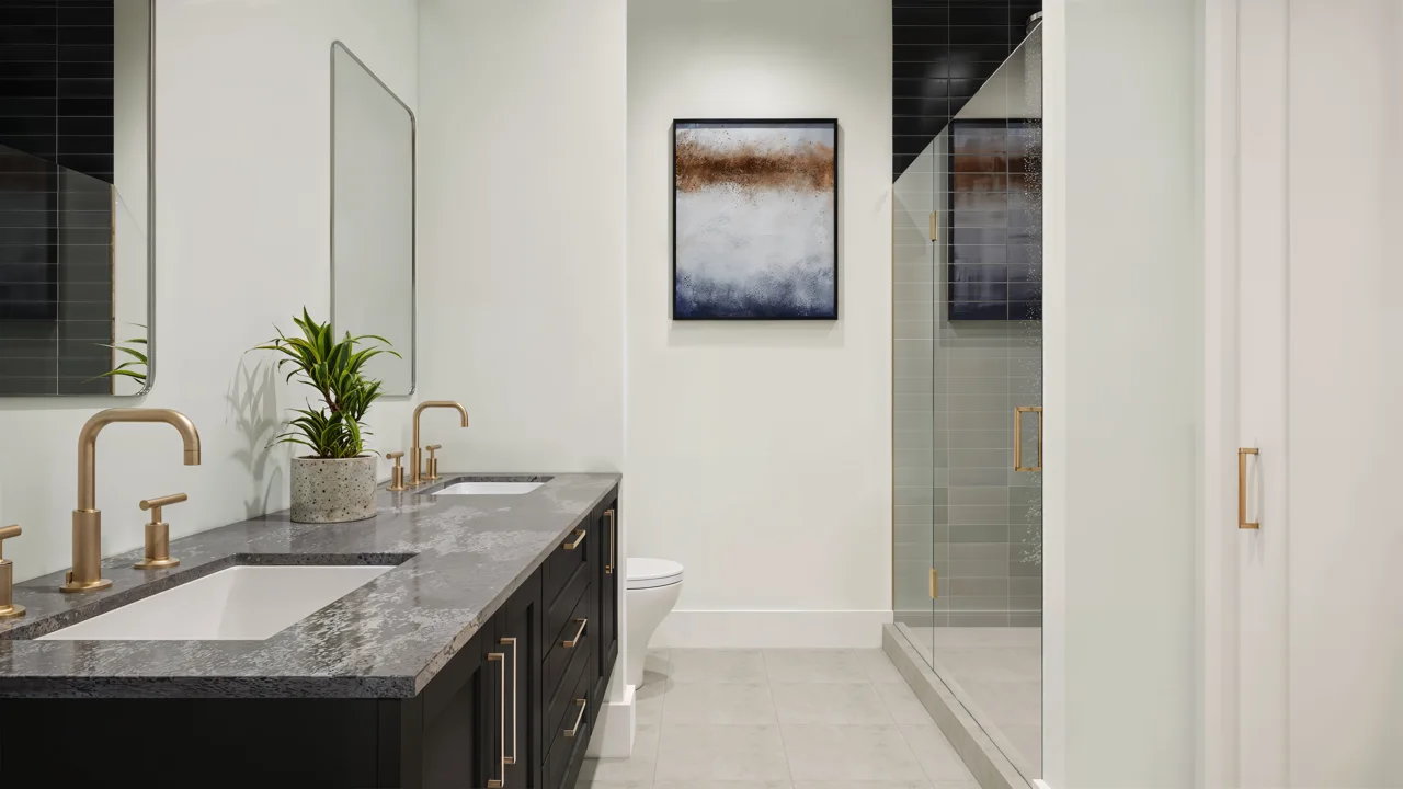 Conceptual bathroom design with double vanity and shower