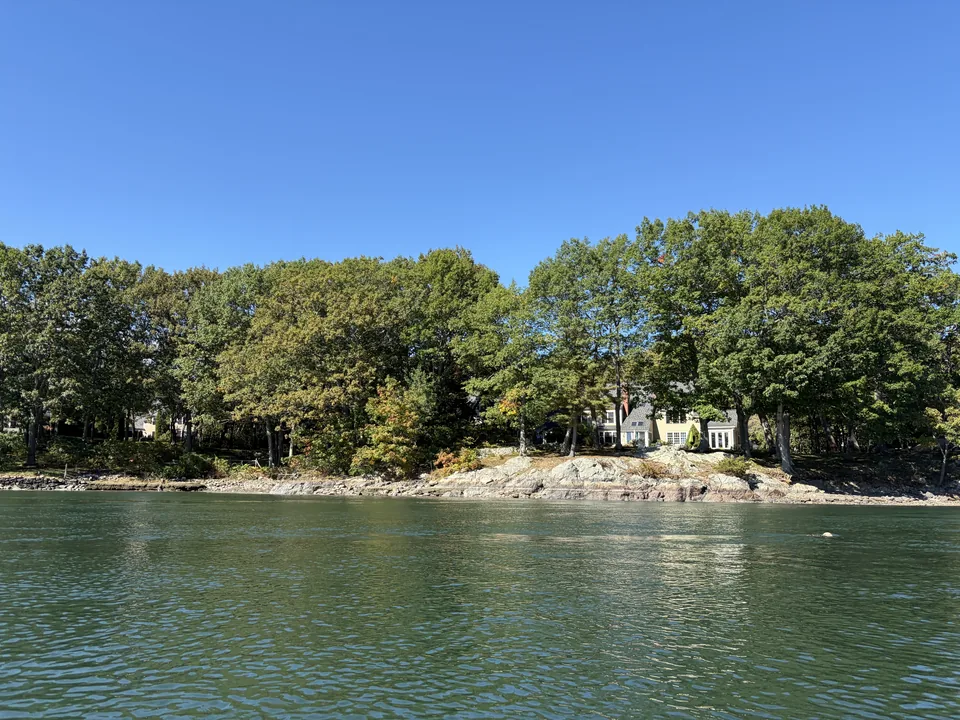 A view from Sagamore Creek toward the rocky shoreline and mature trees