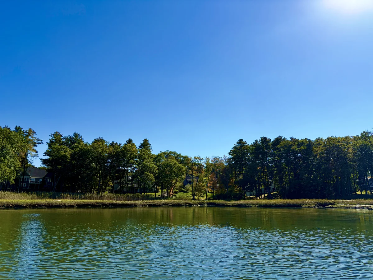 Salt marsh, mature trees and homes along the Tuckers Cove shoreline